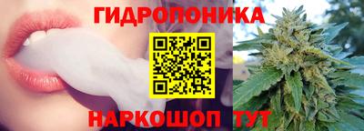 mdpv Новодвинск