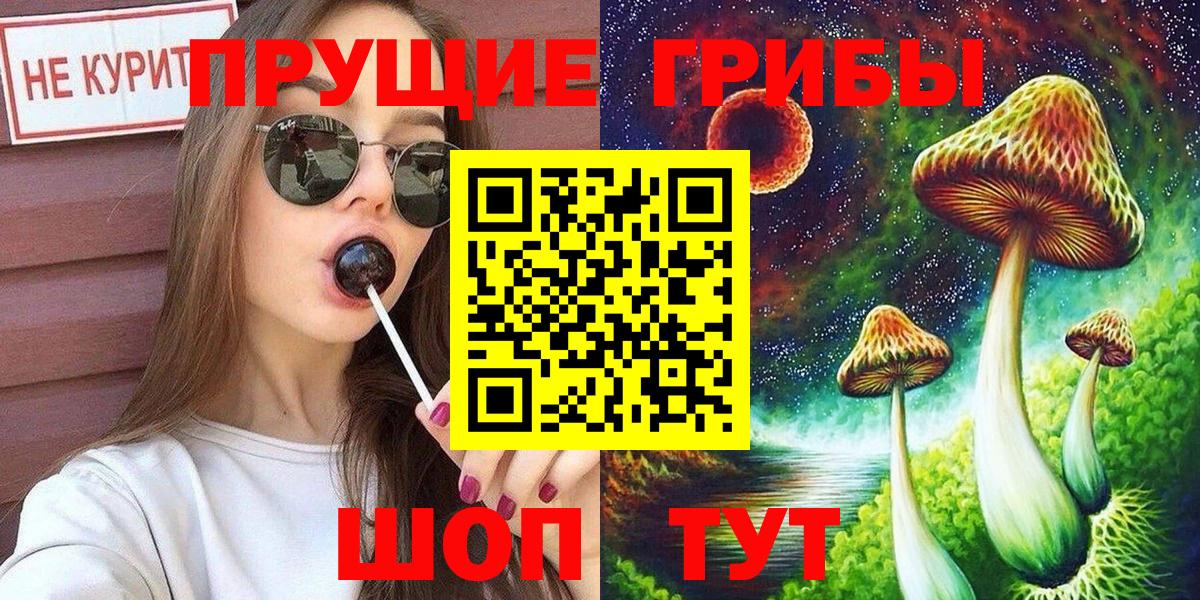 Тула  Галлюциногенные грибы Psilocybine cubensis  Вход с VPN 