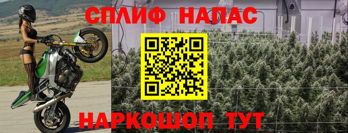 Бошки марихуана MAZAR  Вход с VPN  Тула  Канабис VHQ 